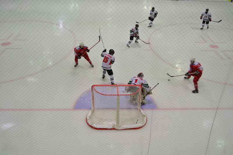Illustration for article titled Photos: The North Korean Hockey Team